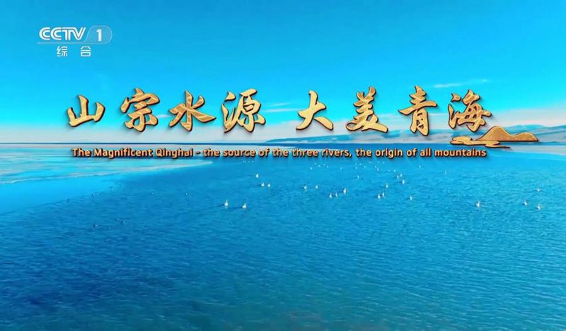 企业宣传片：光影中的企业管理艺术